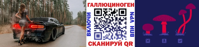 хочу наркоту Мурманск Галлюциногенные грибы мицелий